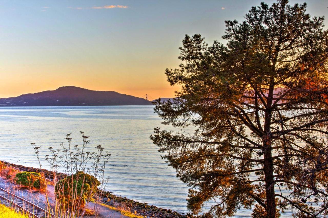Luxury Studio With Hot Tub And San Francisco Bay Views Річмонд Екстер'єр фото